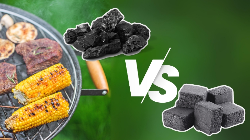 Charbon de bois ou briquettes : quel est le meilleur choix ? 